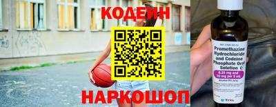 индика Можайск