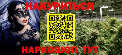 индика Можайск