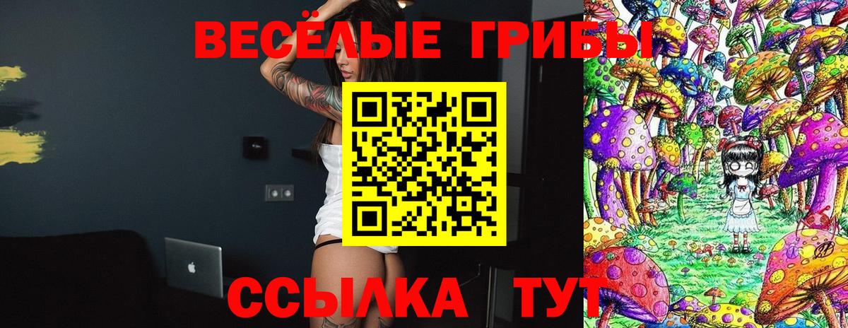 Тимашёвск  Псилоцибиновые грибы ЛСД  Вход с VPN  Галлюциногенные грибы мухоморы 